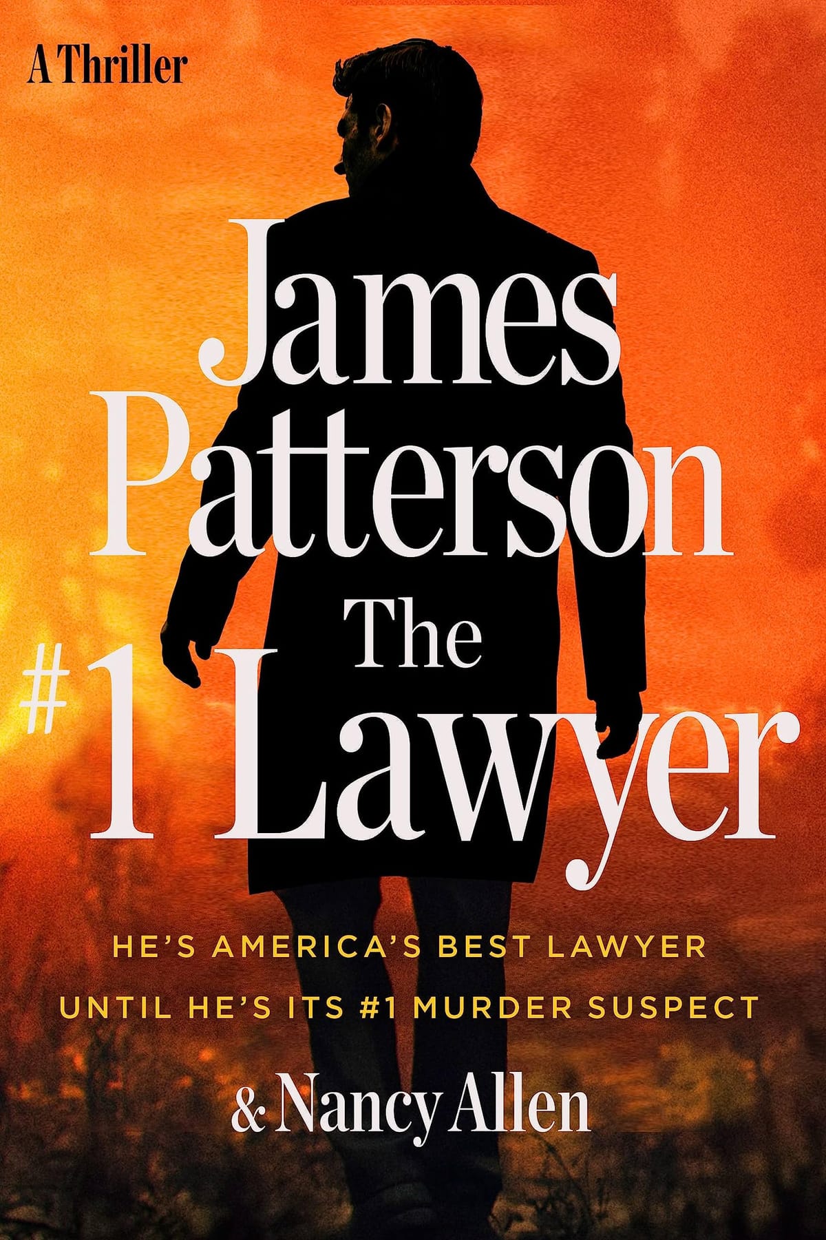 THE LAWYER by James Patterson and Nancy Allen - Chapter 2